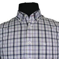 Casa Moda 9829051 Pure Cotton Multi Check  Button Down Collar Shirt