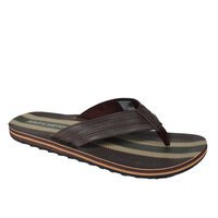 Sketchers