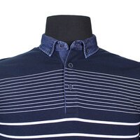 Campione 1097003 Pure Cotton Striped with Denim Collar Polo