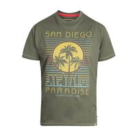 D555 San Diego Palm Tree Tee