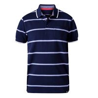 D555 Montego Navy Stripe Cotton Polo