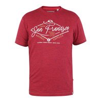 D555 Lettaford Red Cotton Rich Tee