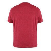 D555 Lettaford Red Cotton Rich Tee