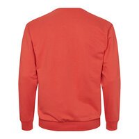 North 56 Logo Sweat Shirt Crew Neck Orange