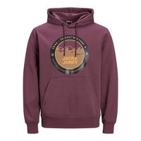 Jack and Jones Grape Mountain Logo Hoody