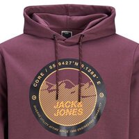 Jack and Jones Grape Mountain Logo Hoody