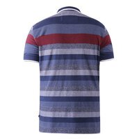 D555 Knightsbridge Multi Stripe Polo