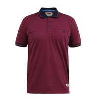 D555 Wigborough Contrast Collar Polo Red Navy