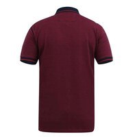 D555 Wigborough Contrast Collar Polo Red Navy