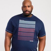 D555 Cransford Stripped Navy Tee