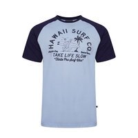 KAM - Hawaii Surf Turtle Raglan Tee Powder Blue