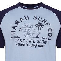 KAM - Hawaii Surf Turtle Raglan Tee Powder Blue