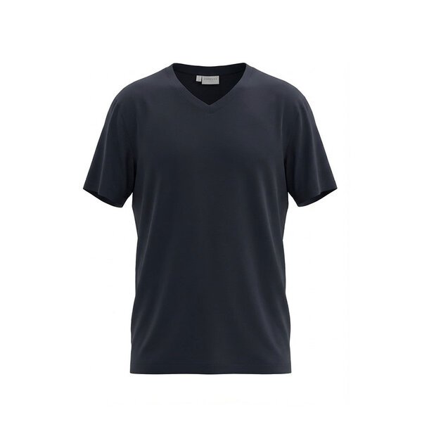 Compass Torino V Neck Tee-shop-by-brands-Beggs Big Mens Clothing - Big Men's fashionable clothing and shoes